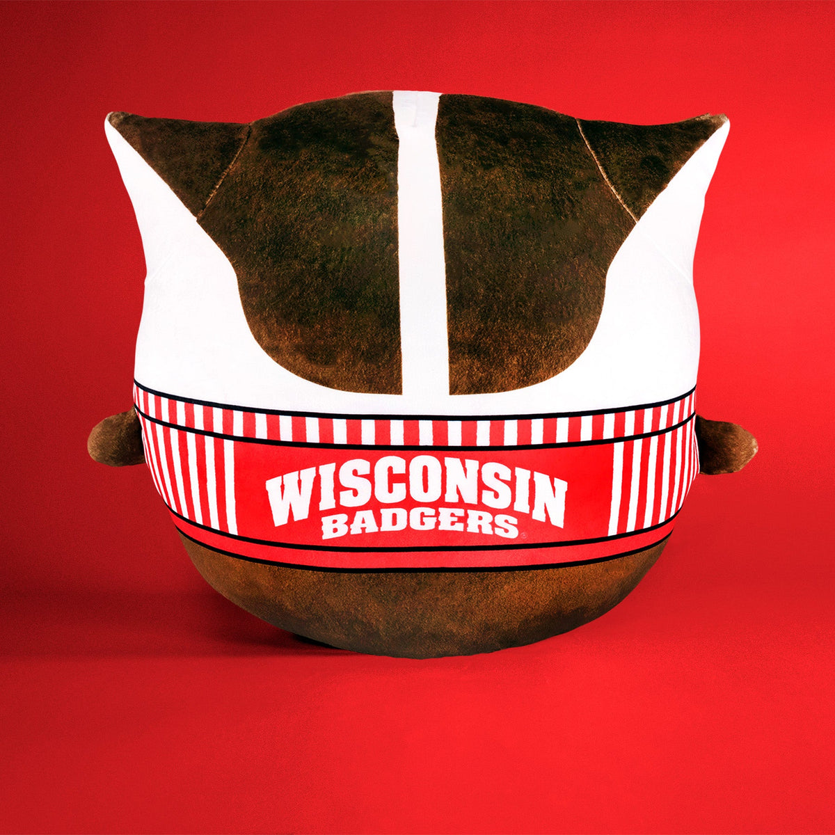 Wisconsin Badgers Bucky Badger 12&quot; Mascot Kiri Cloud Pillow Plushie